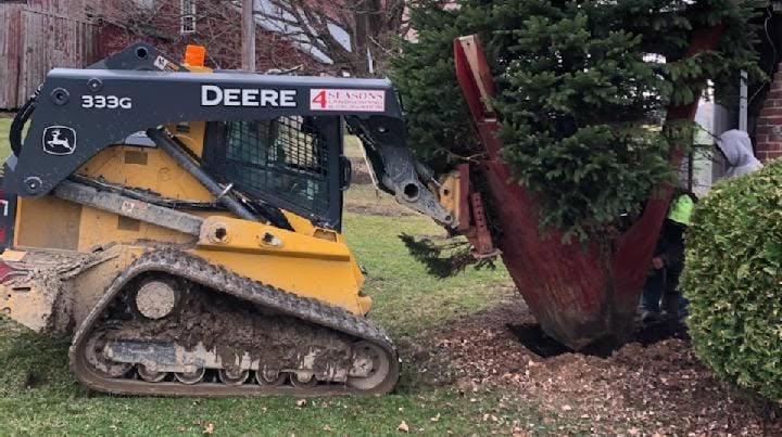 Green landscaping work and garden maintenance