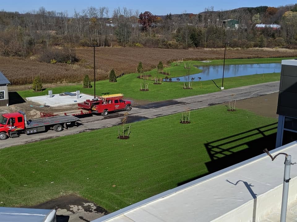 Managed grounds with new trees, mown lawn, pond, and equipment along the access road