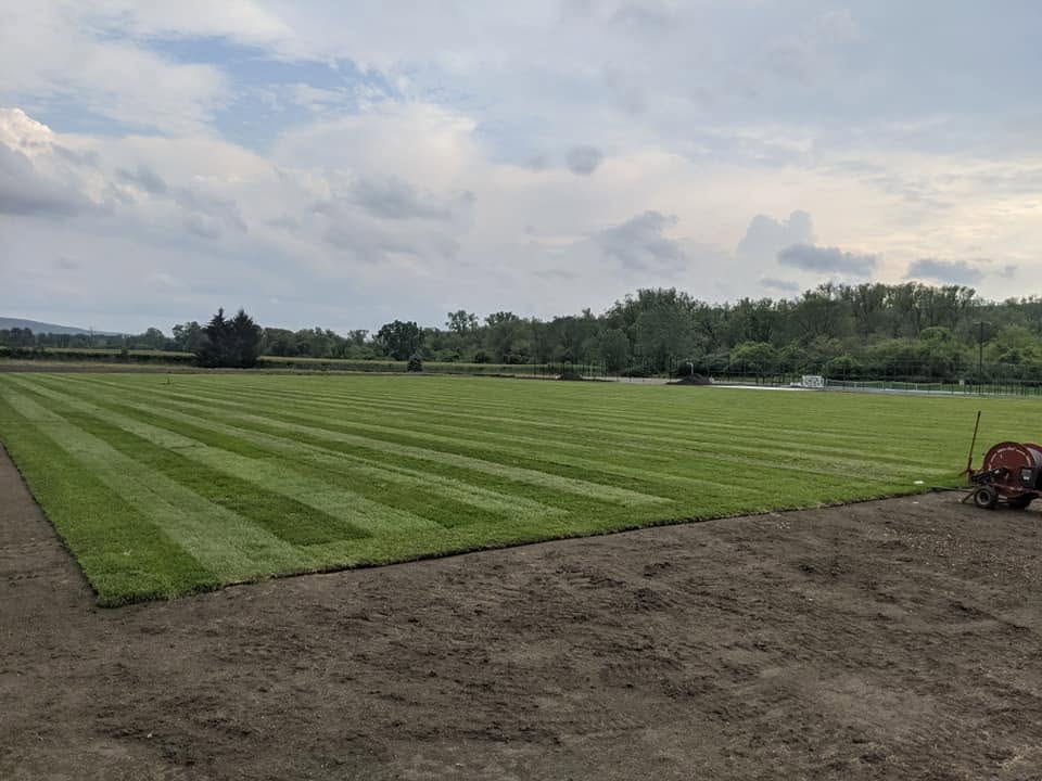 Large freshly striped lawn beside a bare soil area