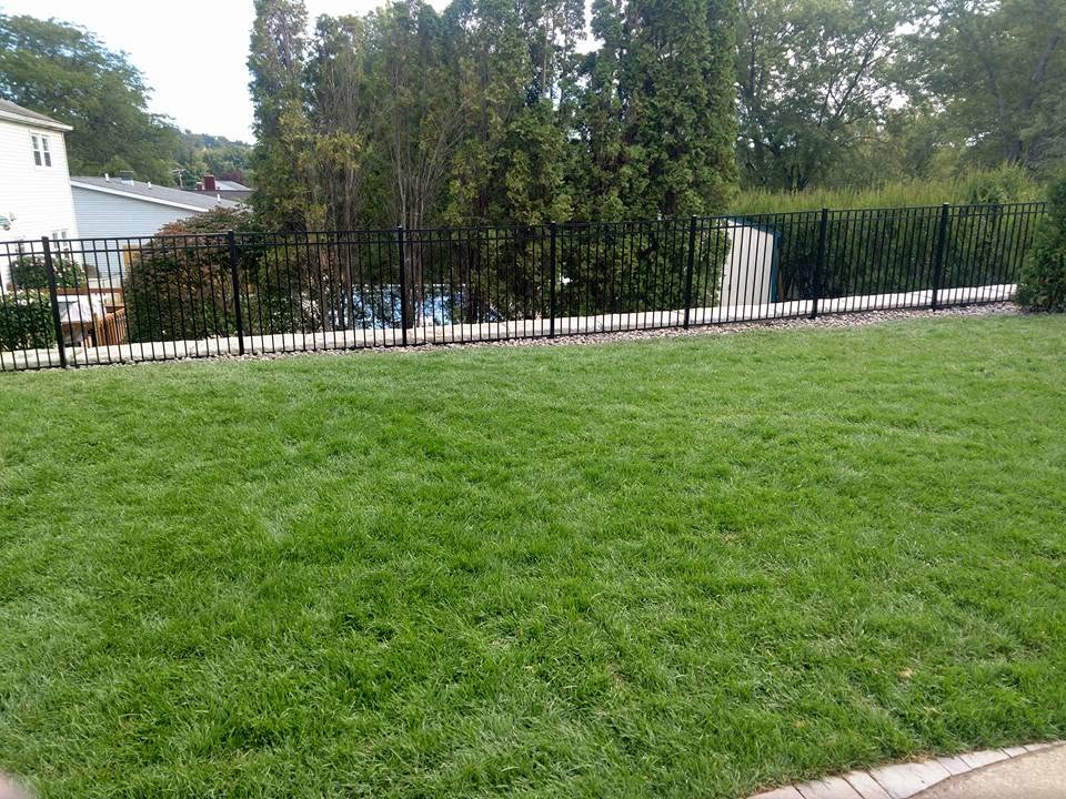 Green lawn bordered by a black metal fence and shrubs