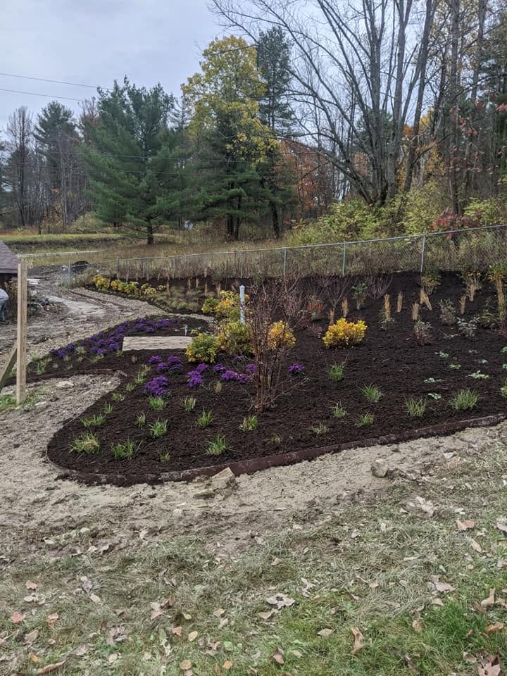 Freshly mulched planted bed with shrubs, flowers, and edging